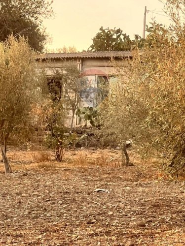 Agricultural land in Motta Sant'Anastasia