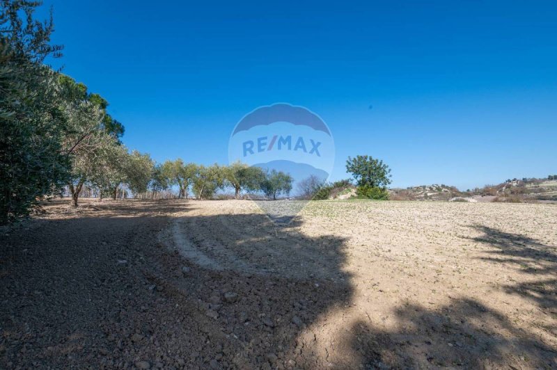 Terreno agrícola em Caltagirone