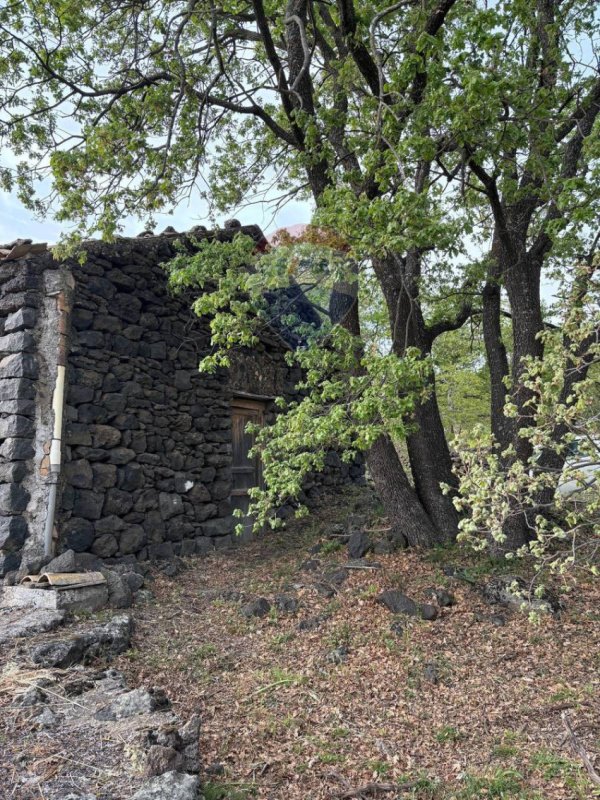 Terreno agrícola en Santa Maria di Licodia