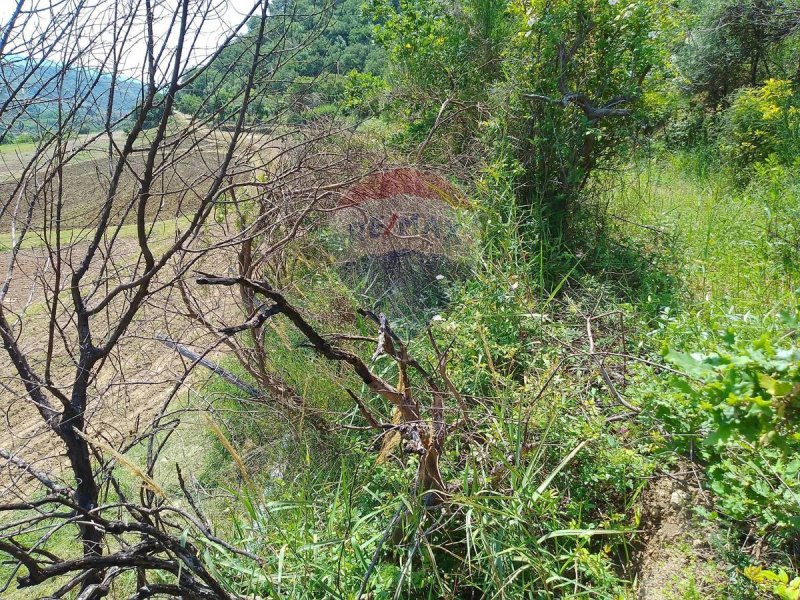 Terreno agricolo a Castiglione di Sicilia