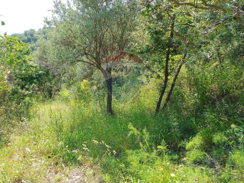 Terrain agricole à Castiglione di Sicilia