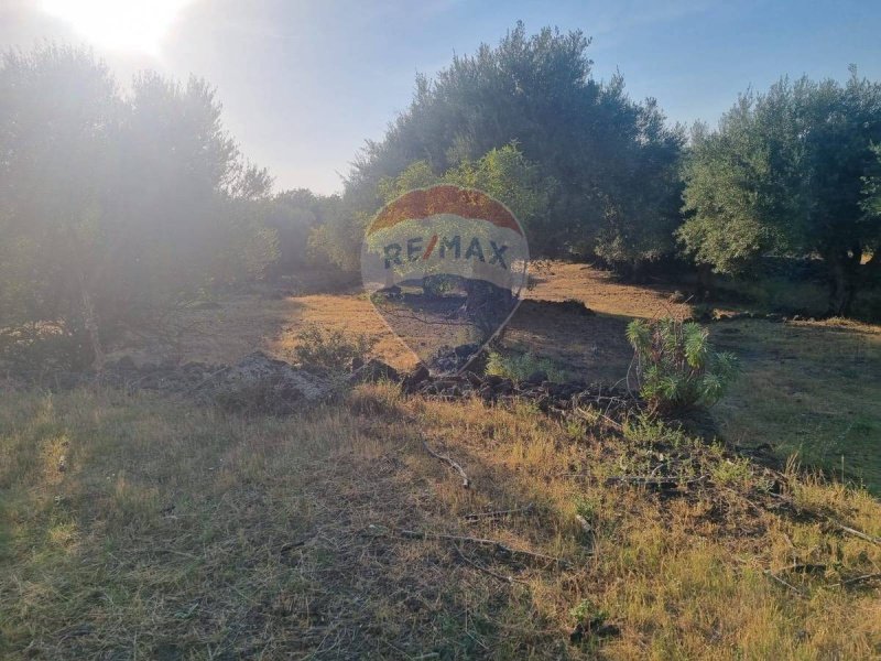 Agricultural land in Belpasso