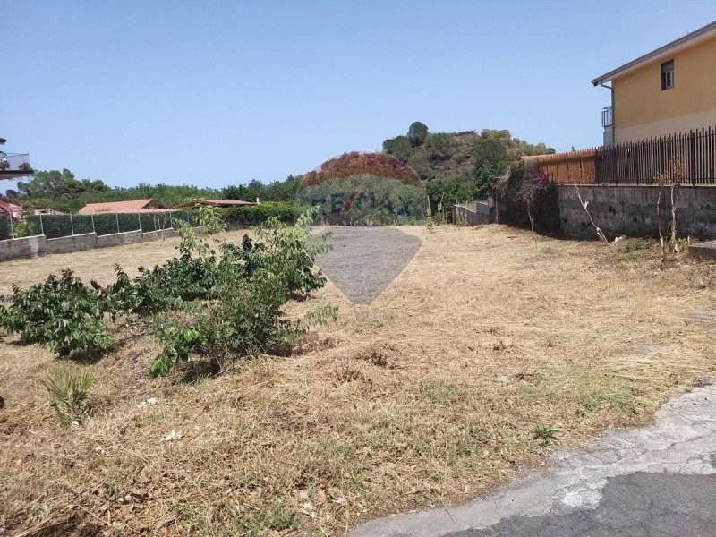 Terreno agrícola em Pedara