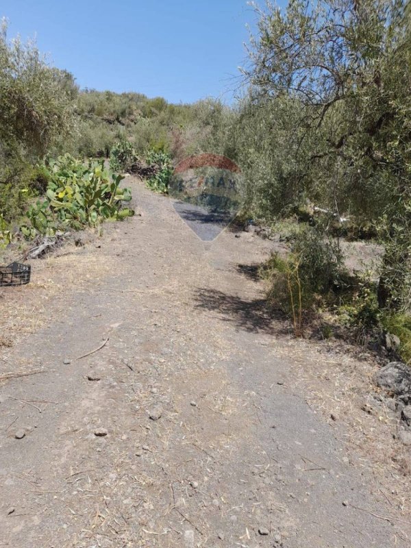 Agricultural land in Belpasso