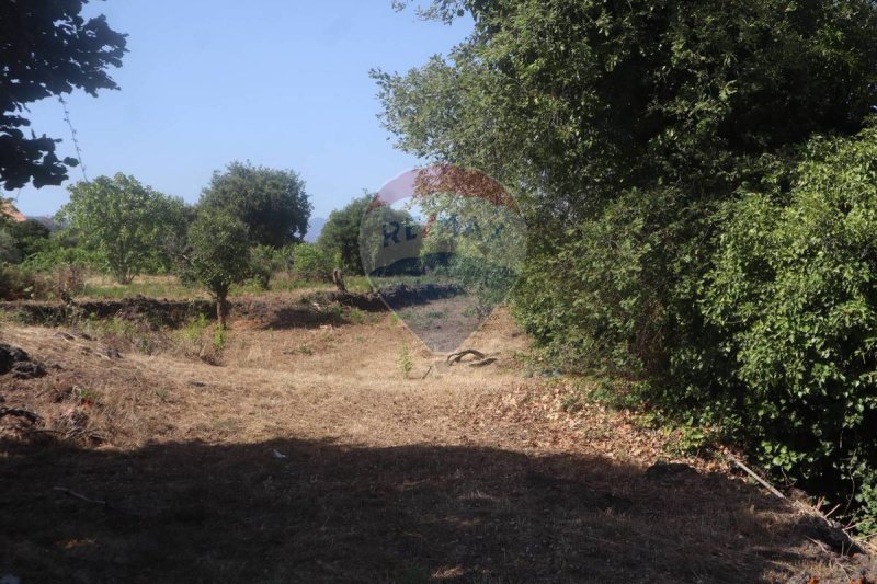 Terreno agrícola em Acireale