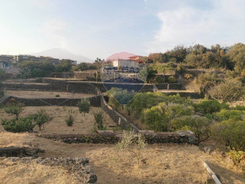 Terreno agrícola em Catânia