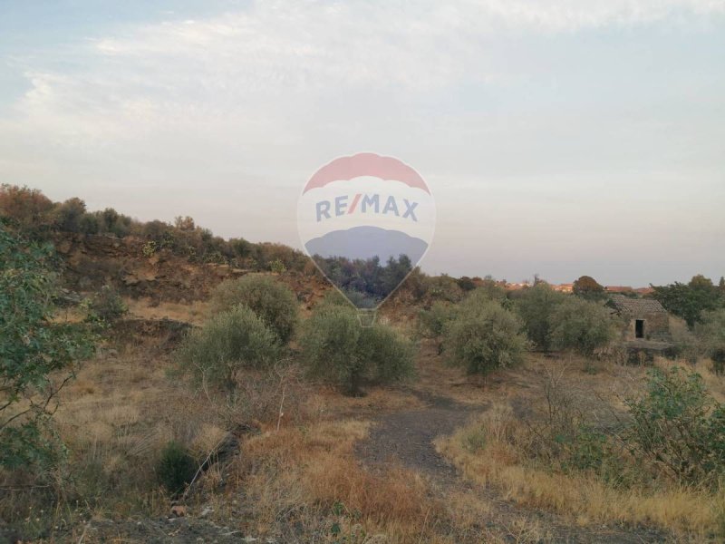 Terreno agricolo a Misterbianco