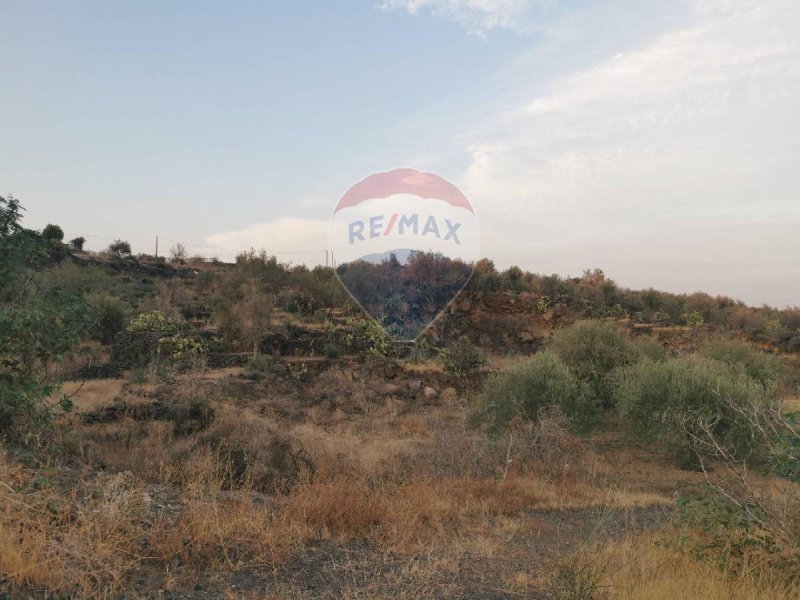 Agricultural land in Misterbianco