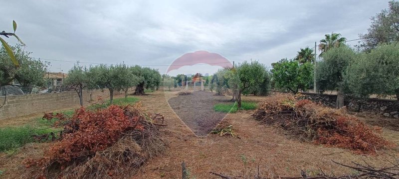 锡拉库萨建筑用地