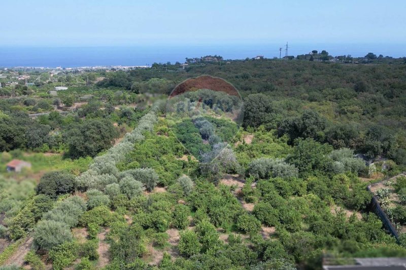 Terreno agrícola em Santa Venerina