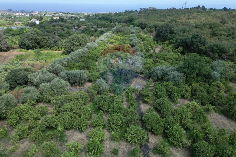 Landwirtschaftliche Fläche in Santa Venerina