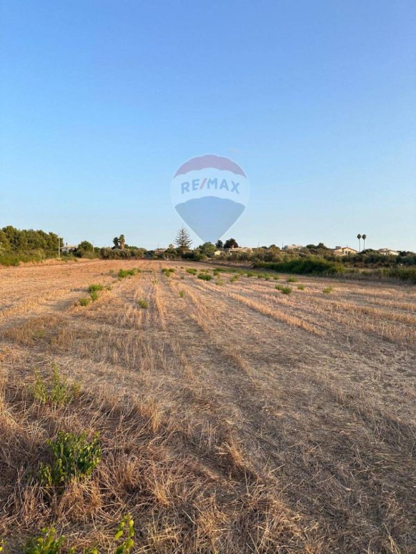 Landbouwgrond in Noto