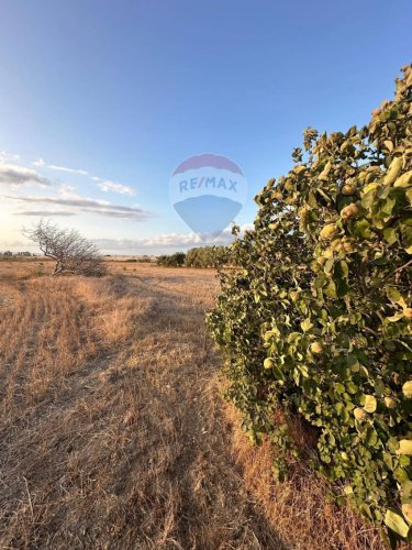 Landbouwgrond in Noto