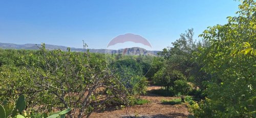 Terreno agricolo a Noto