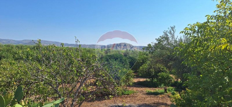 Landwirtschaftliche Fläche in Noto