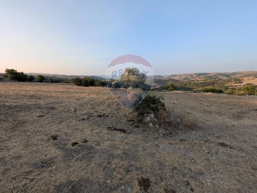 Agricultural land in Ragusa