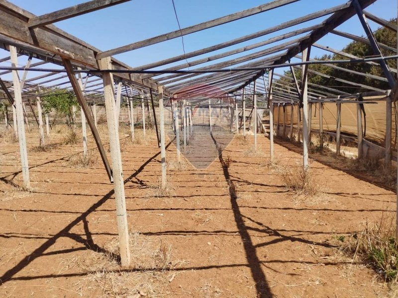 Landwirtschaftliche Fläche in Acate