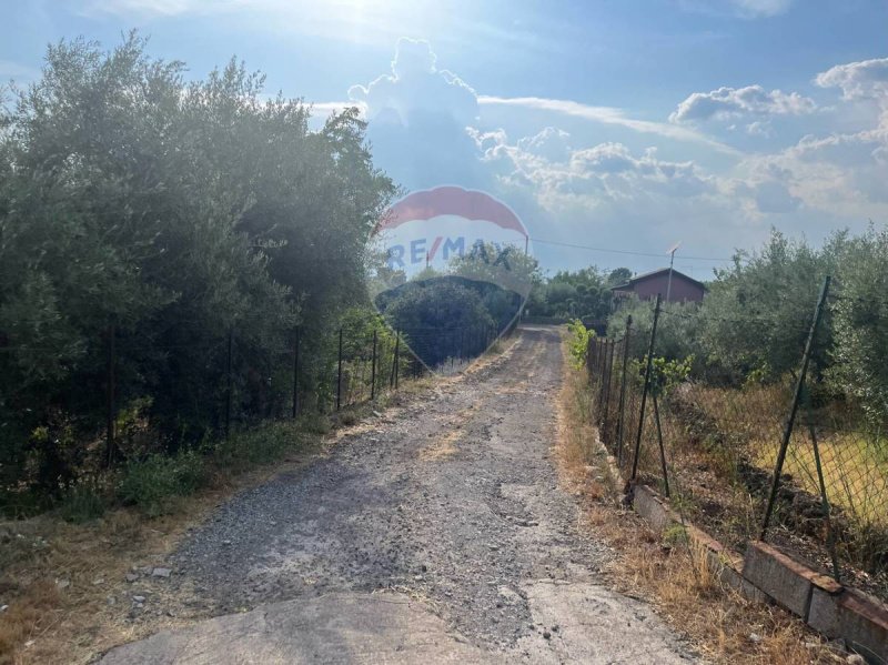 Agricultural land in Belpasso