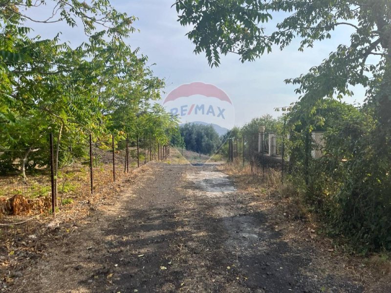 Agricultural land in Belpasso