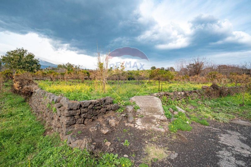 Terreno agrícola em Acireale