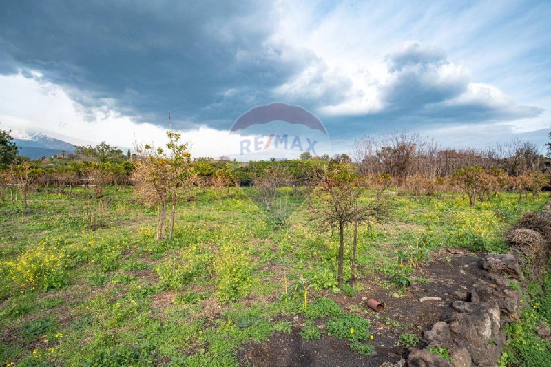 Terreno agrícola em Acireale