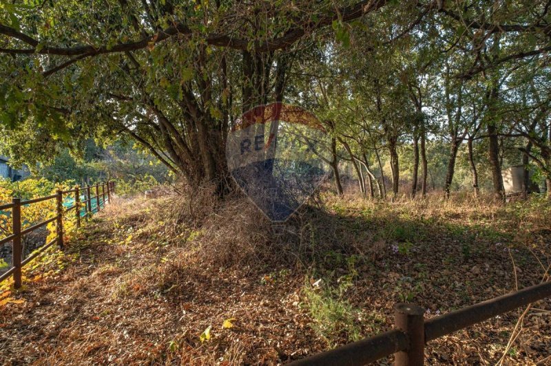 Landbouwgrond in Zafferana Etnea