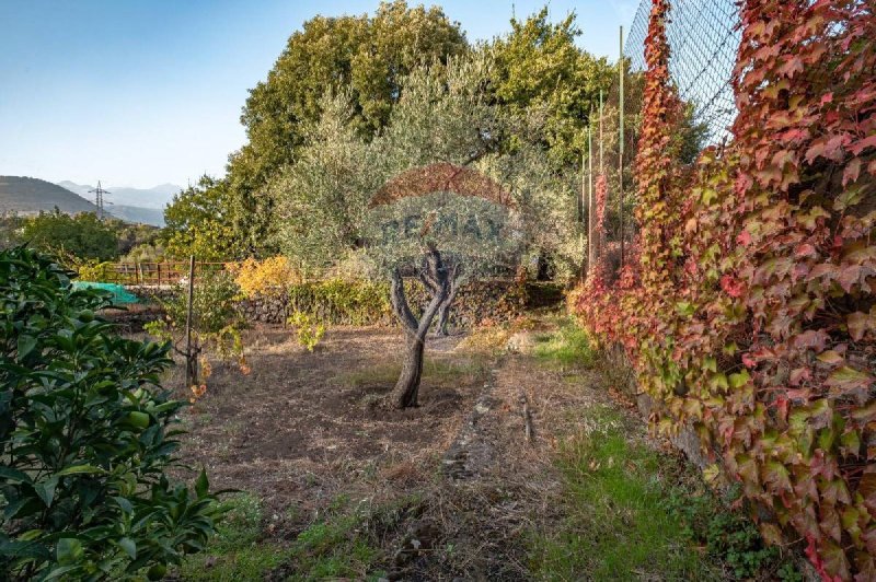 Landwirtschaftliche Fläche in Zafferana Etnea