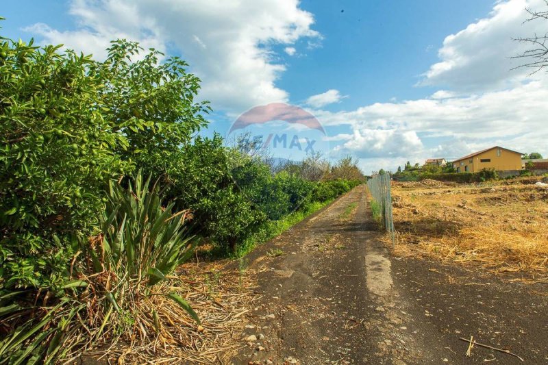 Agricultural land in Santa Venerina