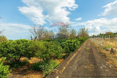 Terreno agrícola em Santa Venerina