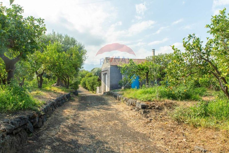 Landwirtschaftliche Fläche in Acireale