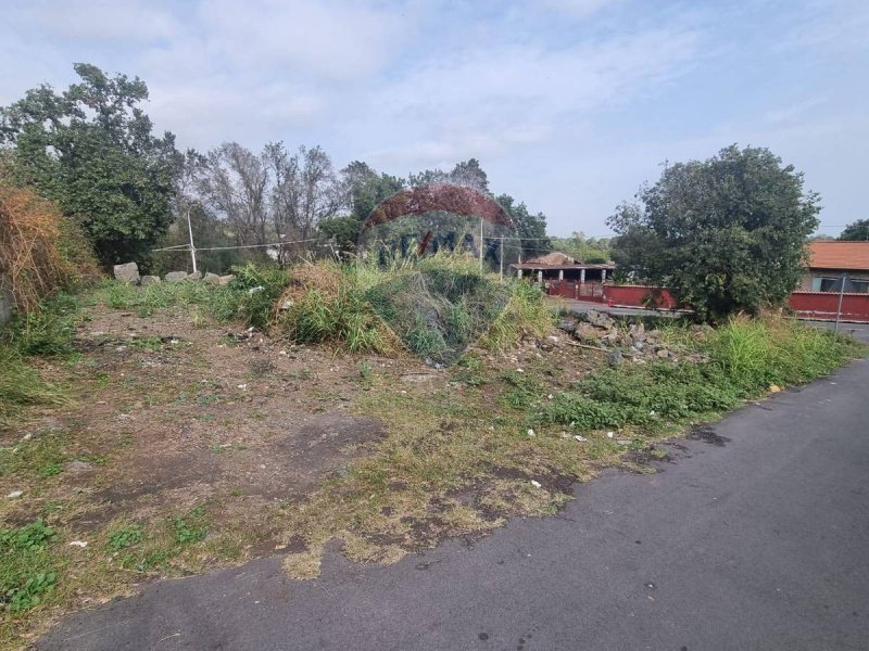 Terreno agrícola em Valverde