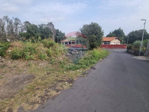 Terreno agrícola em Valverde