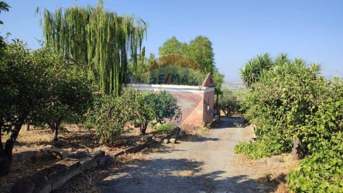 Terreno agrícola em Paternò