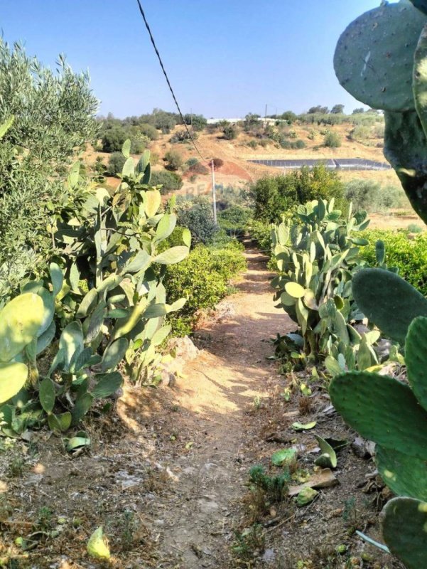 Landbouwgrond in Caltagirone