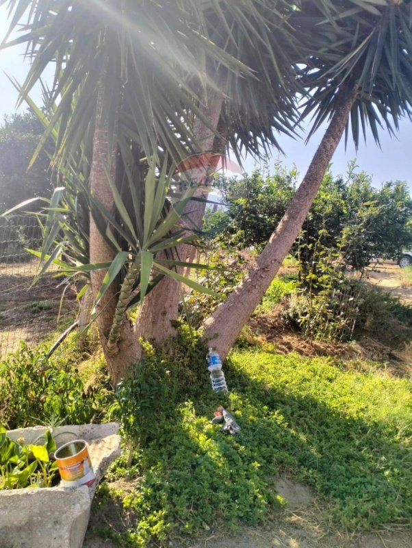 Terreno agricolo a Caltagirone