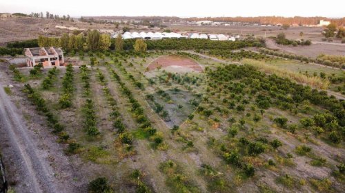 Landwirtschaftliche Fläche in Catania