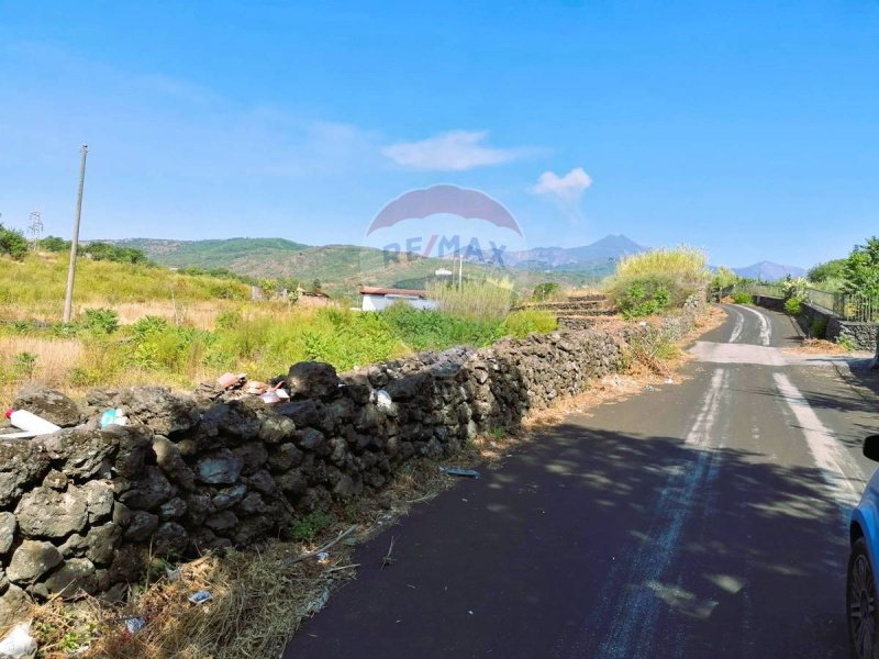 Terreno agrícola em Zafferana Etnea