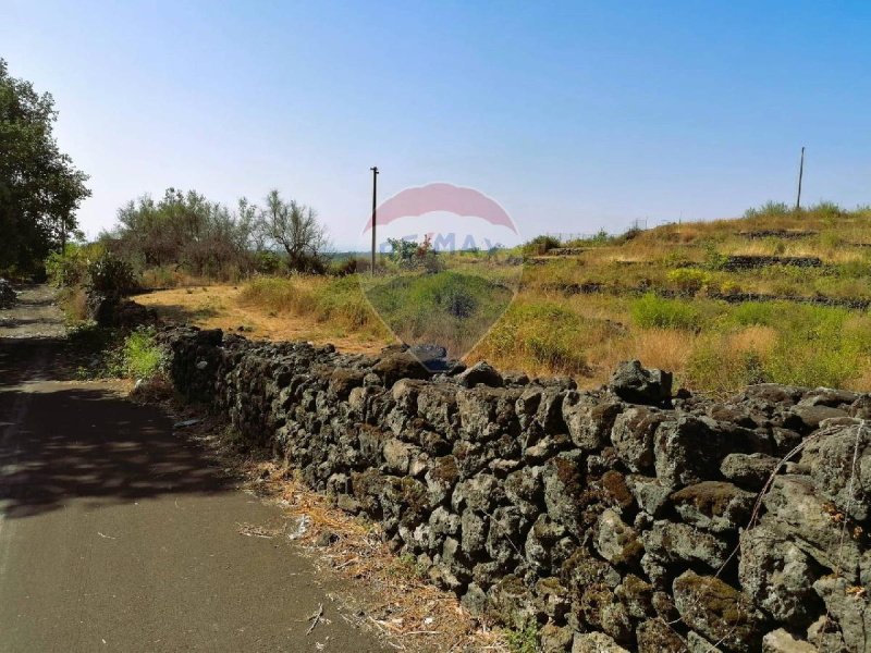 Terreno agricolo a Zafferana Etnea