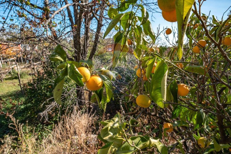 Bauland in Aci Bonaccorsi