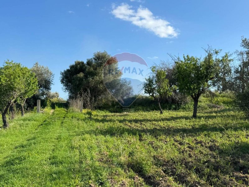 Terreno agrícola em Noto