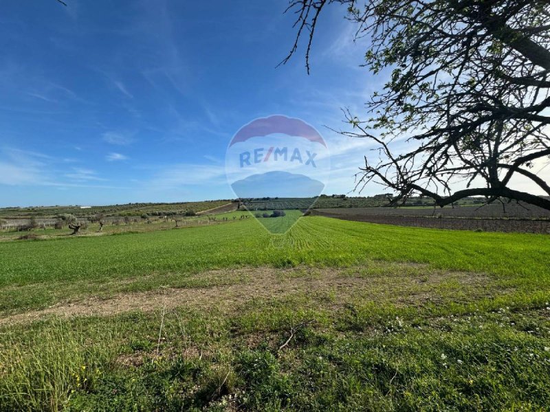 Agricultural land in Noto