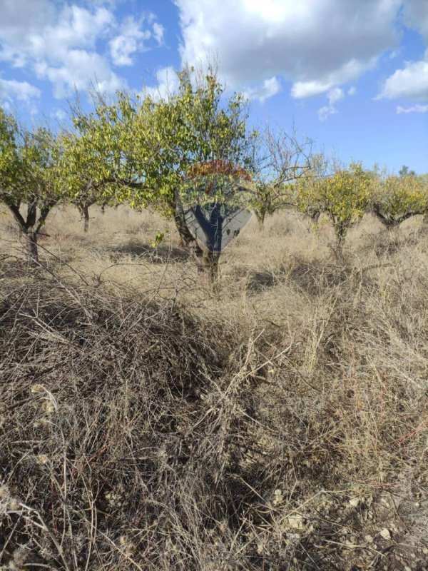 Terreno agricolo a Augusta