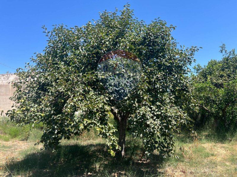 Terreno para construção em Caltagirone