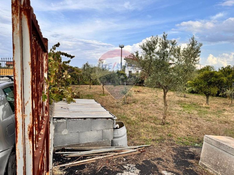 Landwirtschaftliche Fläche in Acireale