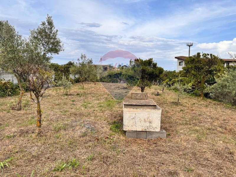 Landwirtschaftliche Fläche in Acireale