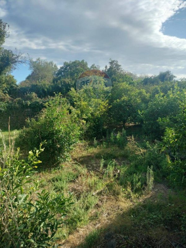 Landwirtschaftliche Fläche in Acireale