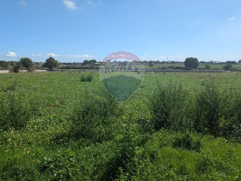 Terreno agrícola em Ragusa