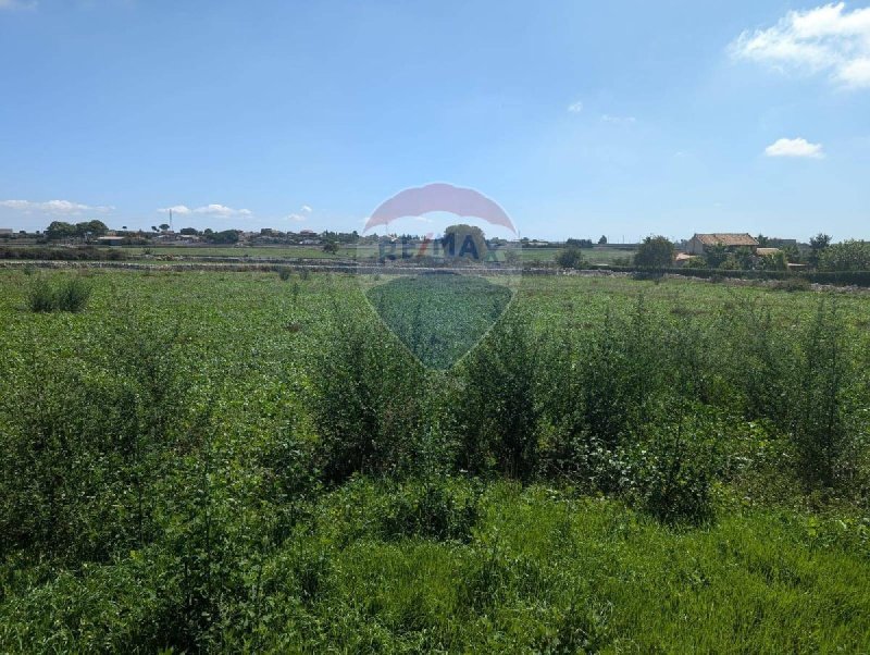 Terreno agrícola em Ragusa