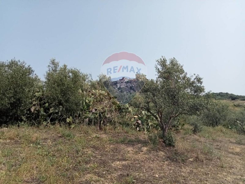 Terreno edificabile a Motta Sant'Anastasia