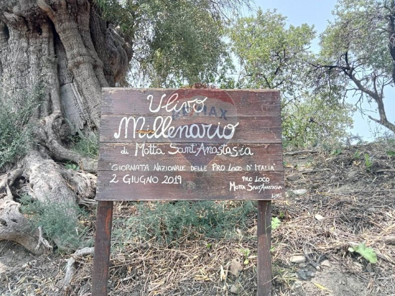 Terreno edificabile a Motta Sant'Anastasia